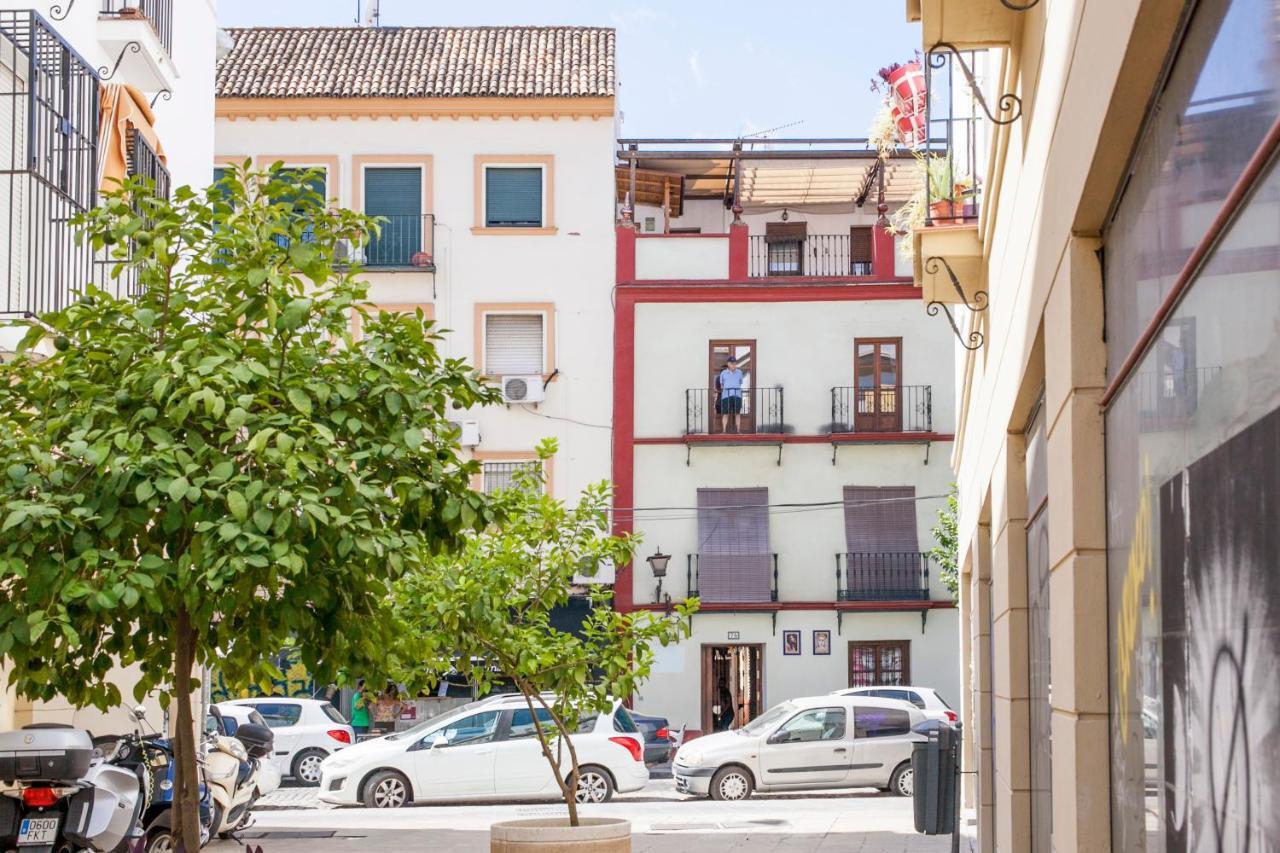 Alohamundi Castilla II Seville Luaran gambar