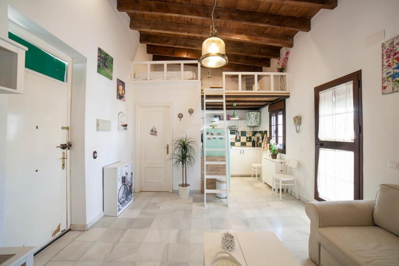 Alohamundi Castilla II Seville Luaran gambar