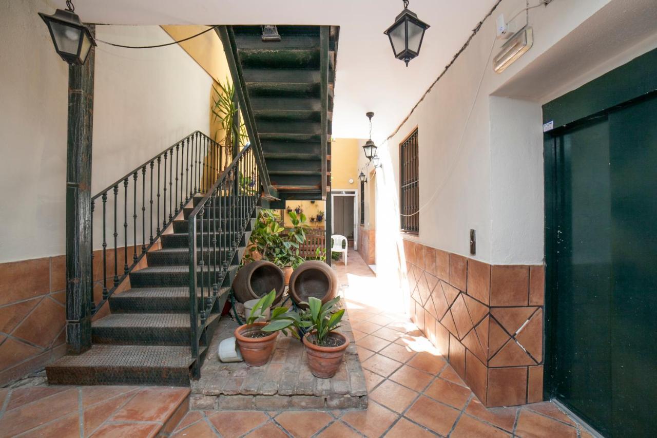 Alohamundi Castilla II Seville Luaran gambar